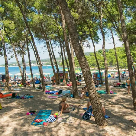 Lejlighed And Milka-jere *